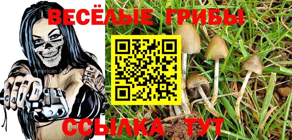 Галлюциногенные грибы Psilocybe Оренбург