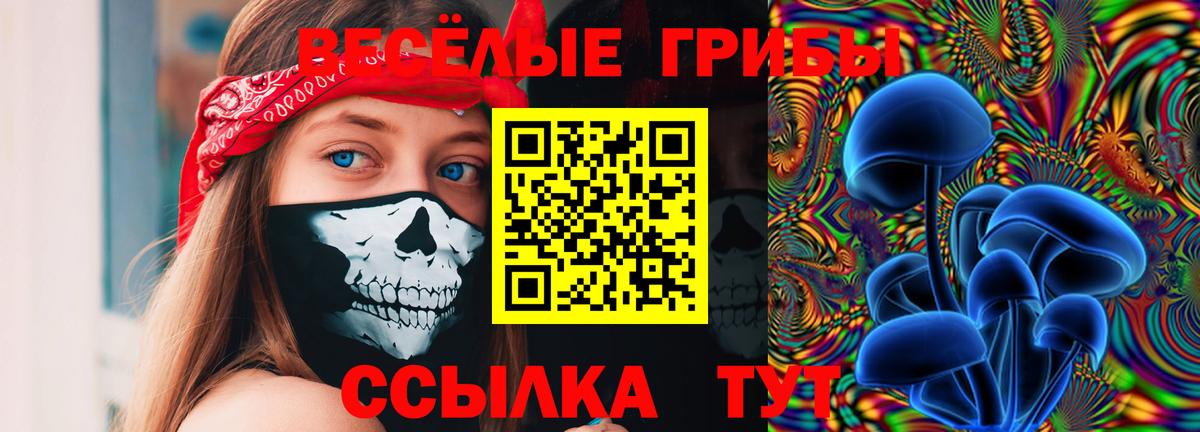 Оренбург  даркнет сайт  Псилоцибиновые грибы MAGIC MUSHROOMS  Вход с VPN  Псилоцибиновые грибы GOLDEN TEACHER 